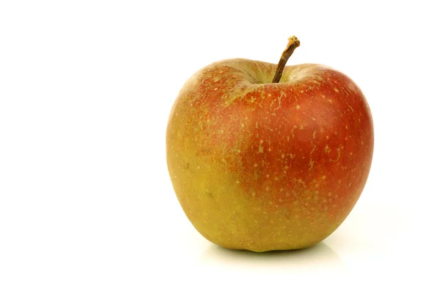 Традиционное голландское яблоко под названием "goudrenet" используется для изготовления яблок — стоковое фото