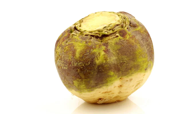 One fresh turnip(Brassica rapa rapa) Stock Image