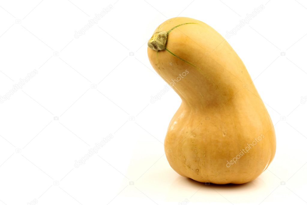 fles vormige butternut pompoen — stockfoto © tpzijl #9087128