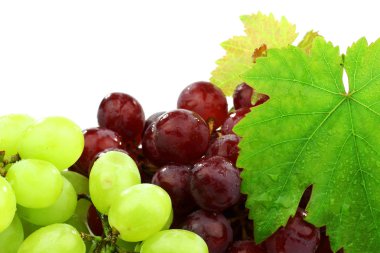 Kırmızı ve beyaz üzüm ve biraz yeşillik