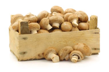 bir ahşap kutu gelen kahverengi champignon mantar