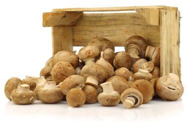 bir ahşap kutu gelen kahverengi champignon mantar