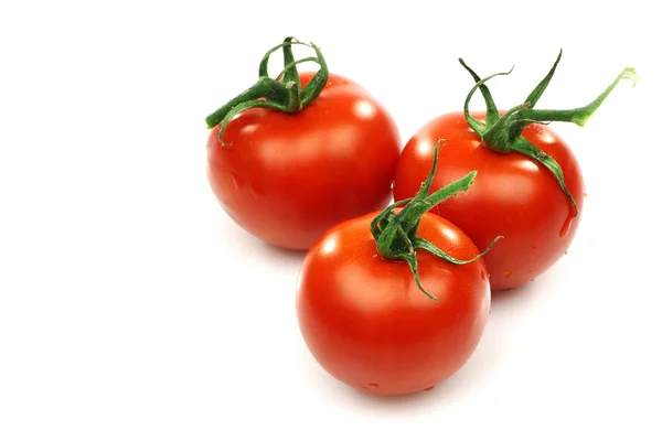 Um monte de tomates vermelhos frescos — Fotografia de Stock