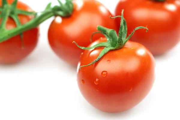 Bir avuç taze kırmızı domates — Stok fotoğraf