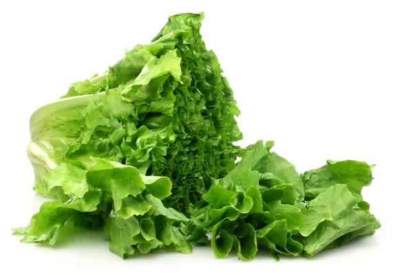 Cut salad — Stock Photo, Image