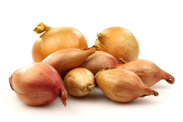 Fresh shallots and two onions — Stock Photo, Image