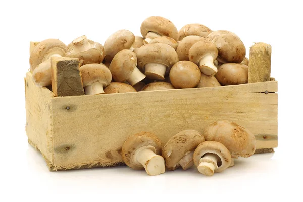 Brown champignon mushrooms coming from a wooden box — Stock Photo, Image