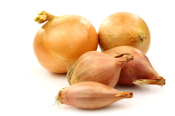 Fresh shallots and two onions Stock Picture