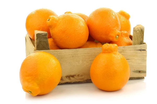 Fresh and colorful Minneola tangelo fruit in a wooden crate — Stock Photo, Image