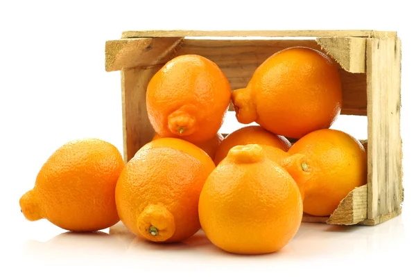 Fresh and colorful Minneola tangelo fruit in a wooden crate — Stock Photo, Image