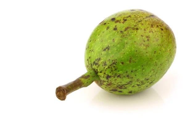 One fresh walnut (Juglans regia) — Stock Photo, Image