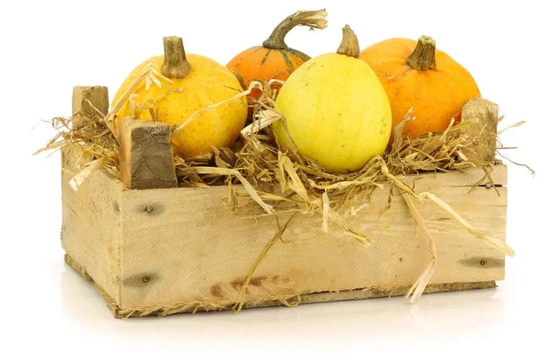 Colorful pumpkins and straw in a wooden crate — Stock Photo, Image