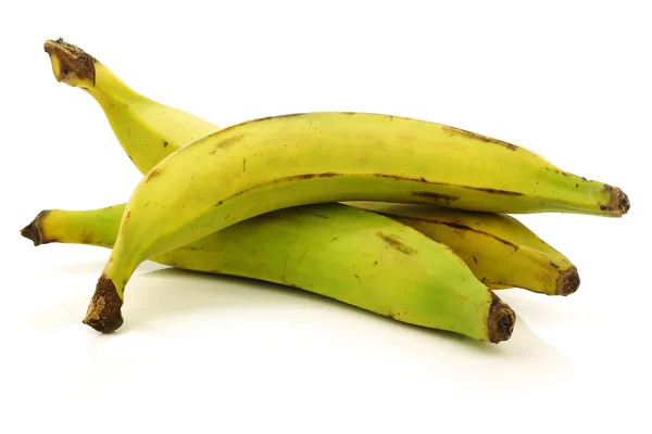 Νωπά ακόμα άγουροι plantain (ψήσιμο) μπανάνες — Φωτογραφία Αρχείου