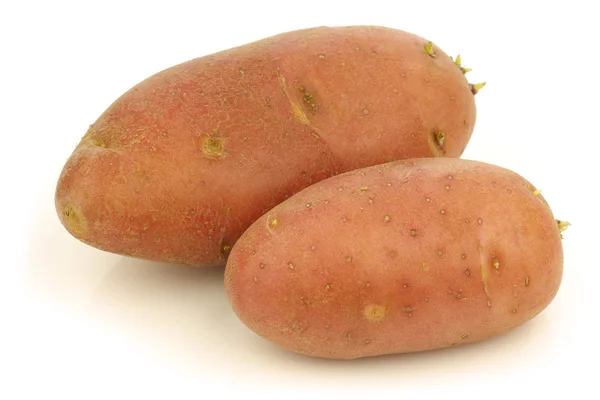 Свіжі roseval картоплі — стокове фото