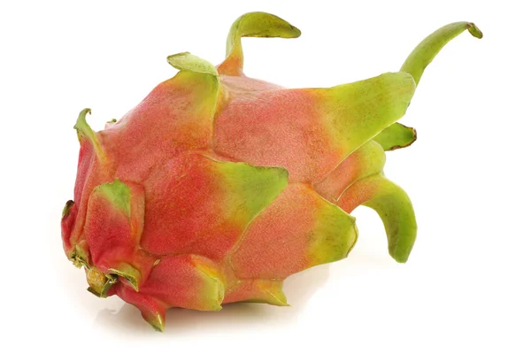 Pitaya taze meyve (Hylocereus undatus) — Stok fotoğraf