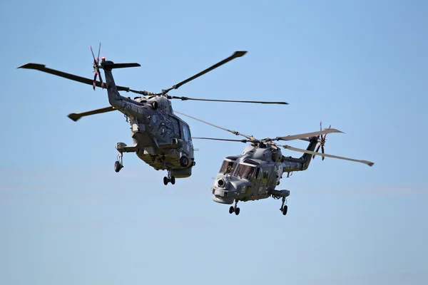 Equipe de exibição de helicóptero da Marinha Real Britânica 'Black Cats' — Fotografia de Stock