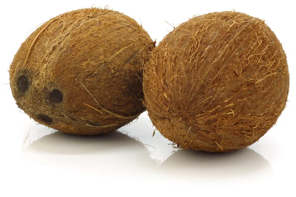 Два свежих кокоса — стоковое фото