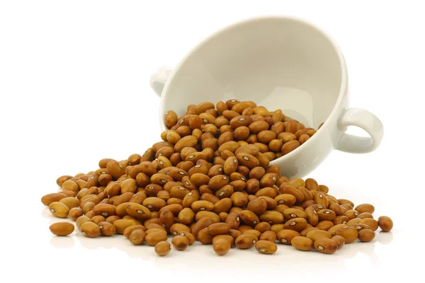 セラミック ボウルに白で茶色の豆 — ストック写真