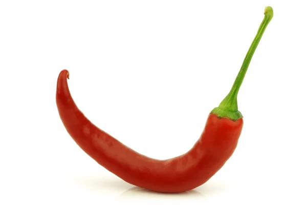 Μία κόκκινη πιπεριά (πιπεριά) — Φωτογραφία Αρχείου