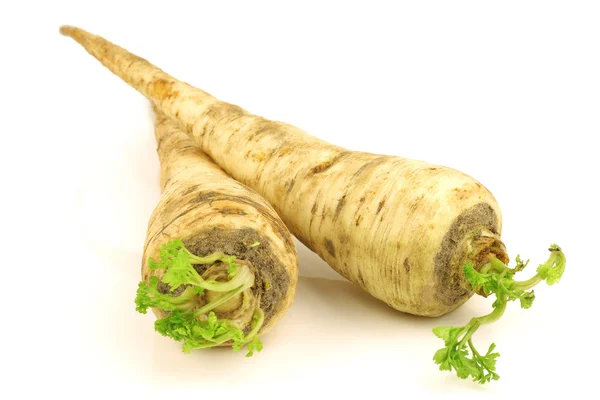 Freshly harvested turnip rooted parsley (Petroselinum crispum var. tuberosum) — Stock Photo, Image