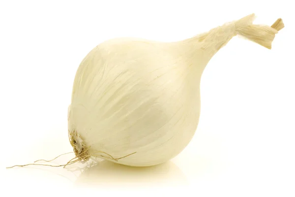 Taze beyaz soğan — Stok fotoğraf