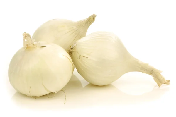 Cebollas blancas frescas —  Fotos de Stock