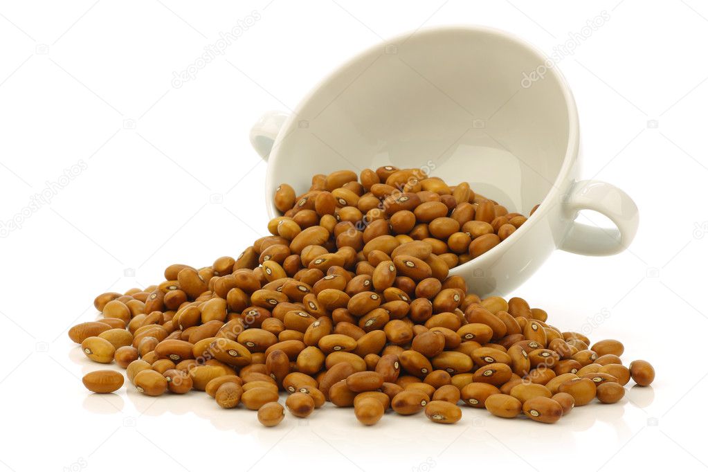 Brown beans in a white ceramic bowl