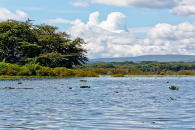 The Lake Naivasha clipart