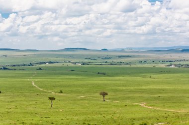 The Masai Mara clipart