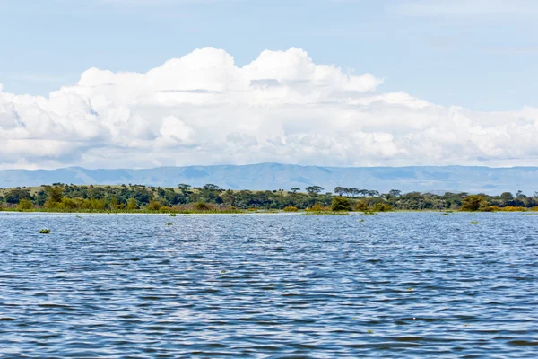 stock image The Naivasha Lake