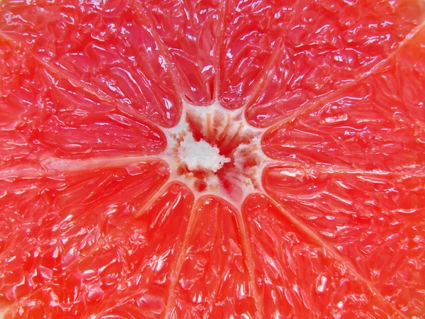 stock image Grapefruit detail