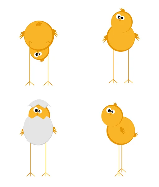 Four chick — Stock Vector