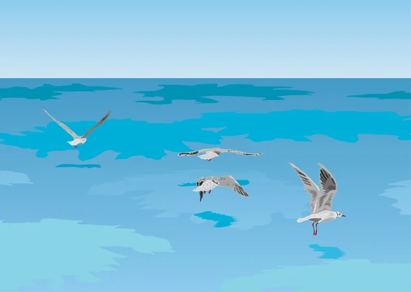 Seagulls on the sea — Stock Vector
