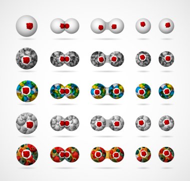 Cell division clipart