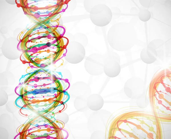 DNA-molekylen — Stock vektor