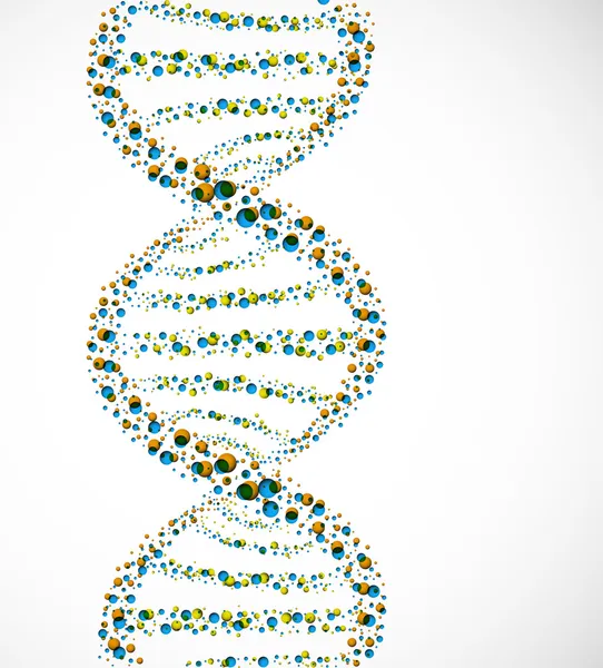Молекула ДНК — стоковый вектор