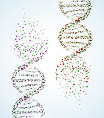DNA molekülü