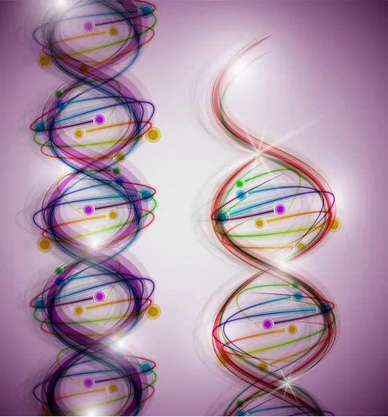 Molécula de ADN — Vetor de Stock