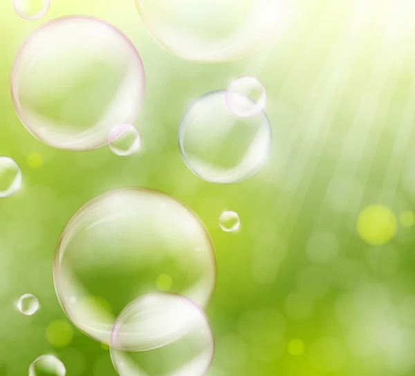 Soap bubbles — Stock Vector
