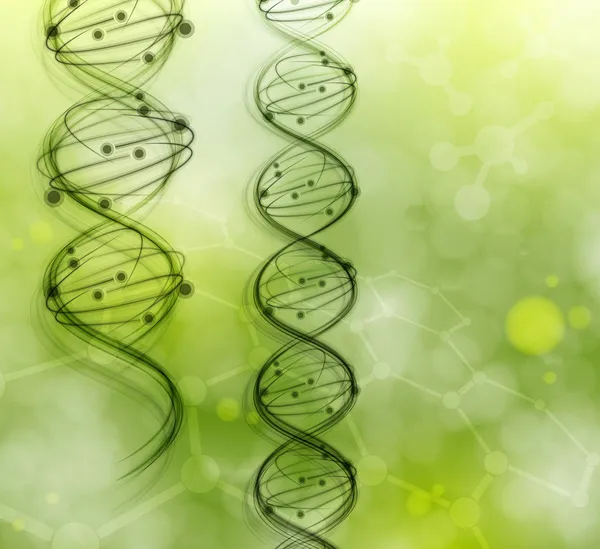 Moléculas de ADN — Archivo Imágenes Vectoriales