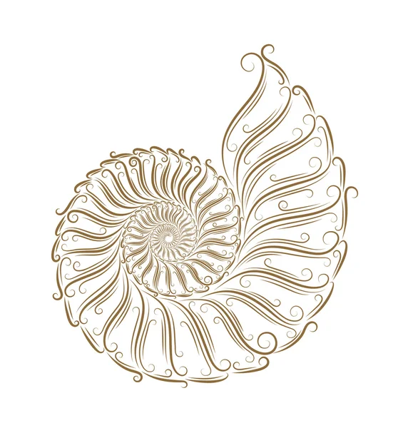 貝殻のスケッチ — ストックベクタ