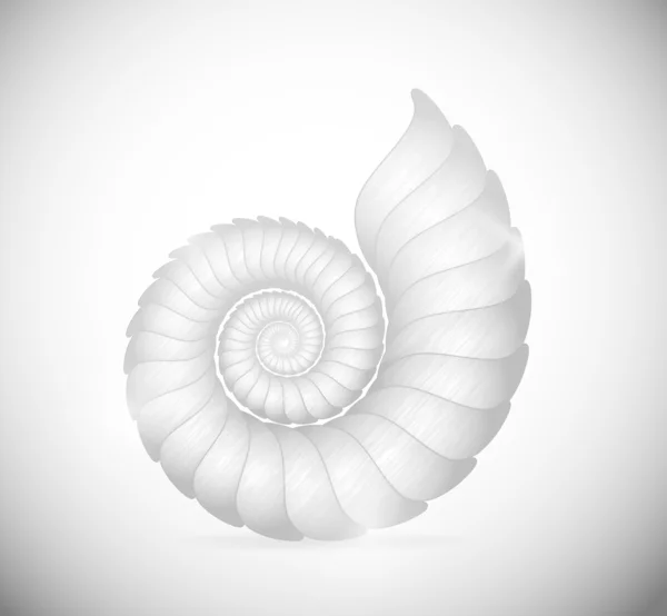 The seashell — Stock Vector