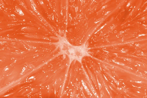 Грейпфрутовый фон — стоковое фото