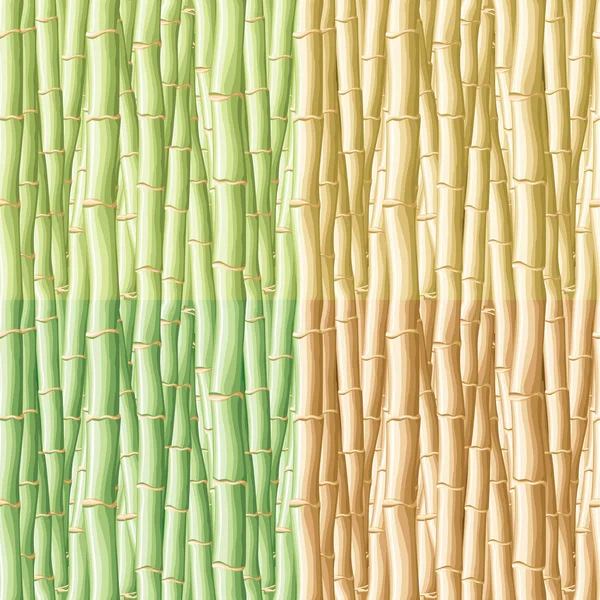 대나무 원활한 패턴 — 스톡 벡터