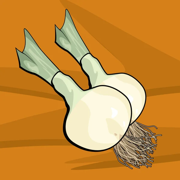 Onion Illustration — Stock Vector
