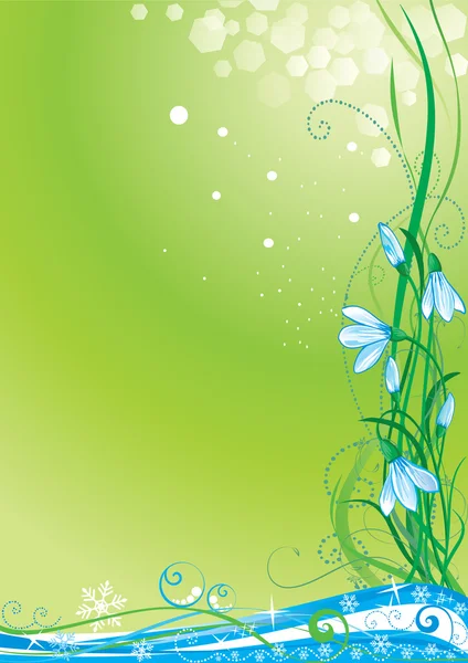 stock vector Snowdrops