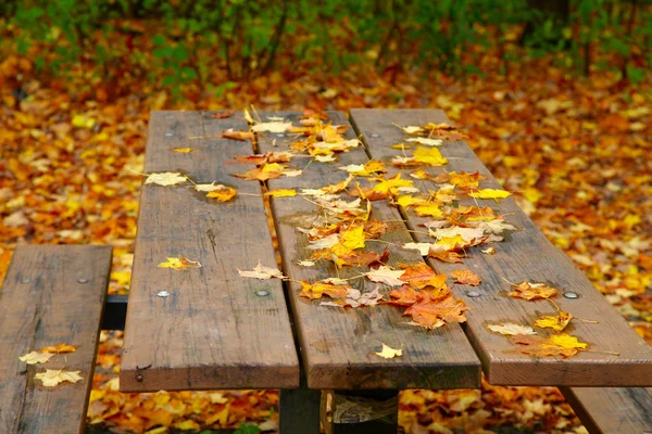 stock image Picnic table