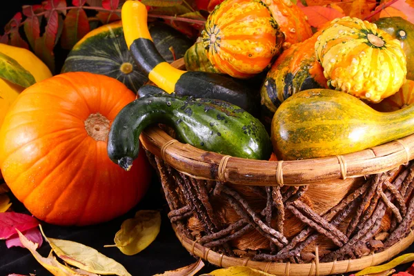 Fall Vegetables — Stock Photo, Image