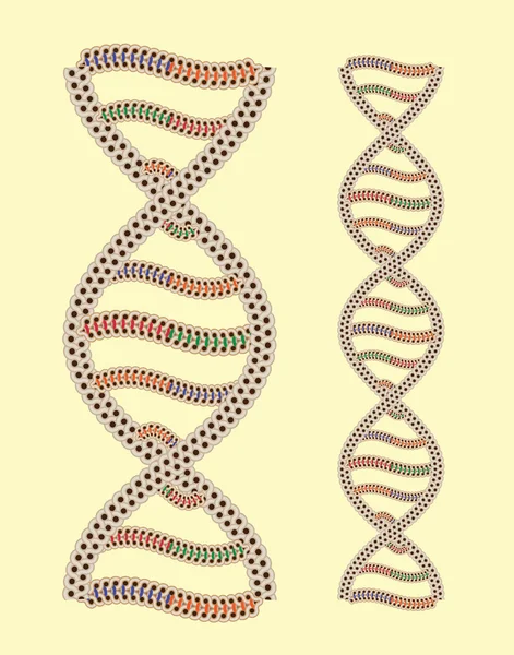 ADN vectorial como ornamento griego (sin costuras después de una edición rápida ) — Archivo Imágenes Vectoriales