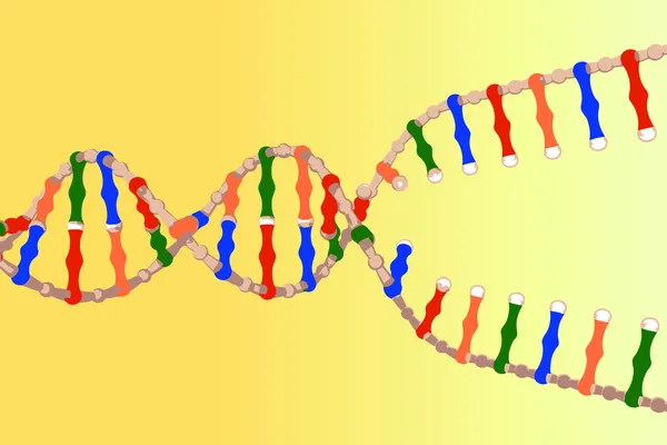 Hilos de ADN separados — Archivo Imágenes Vectoriales